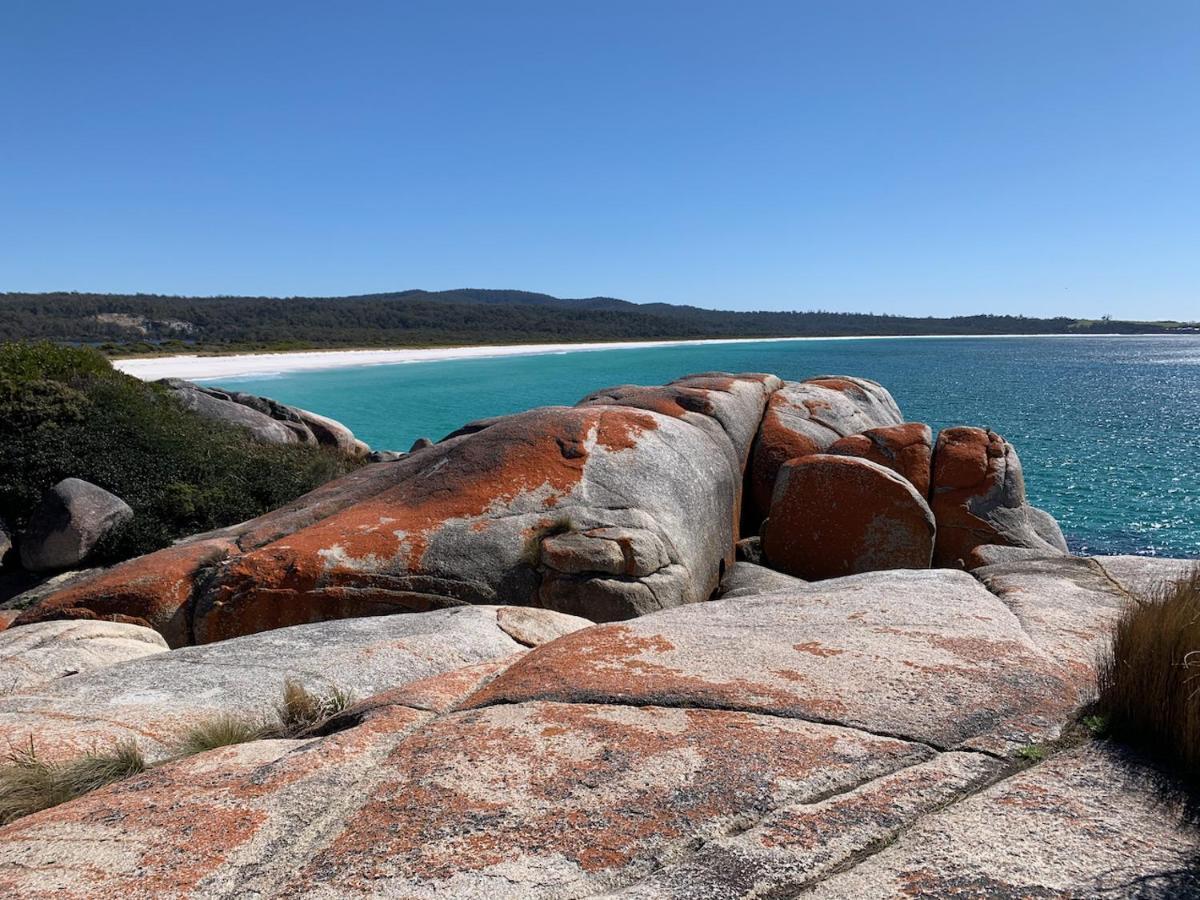 Вілла Bay Of Fires Great Escape Binalong Bay Екстер'єр фото