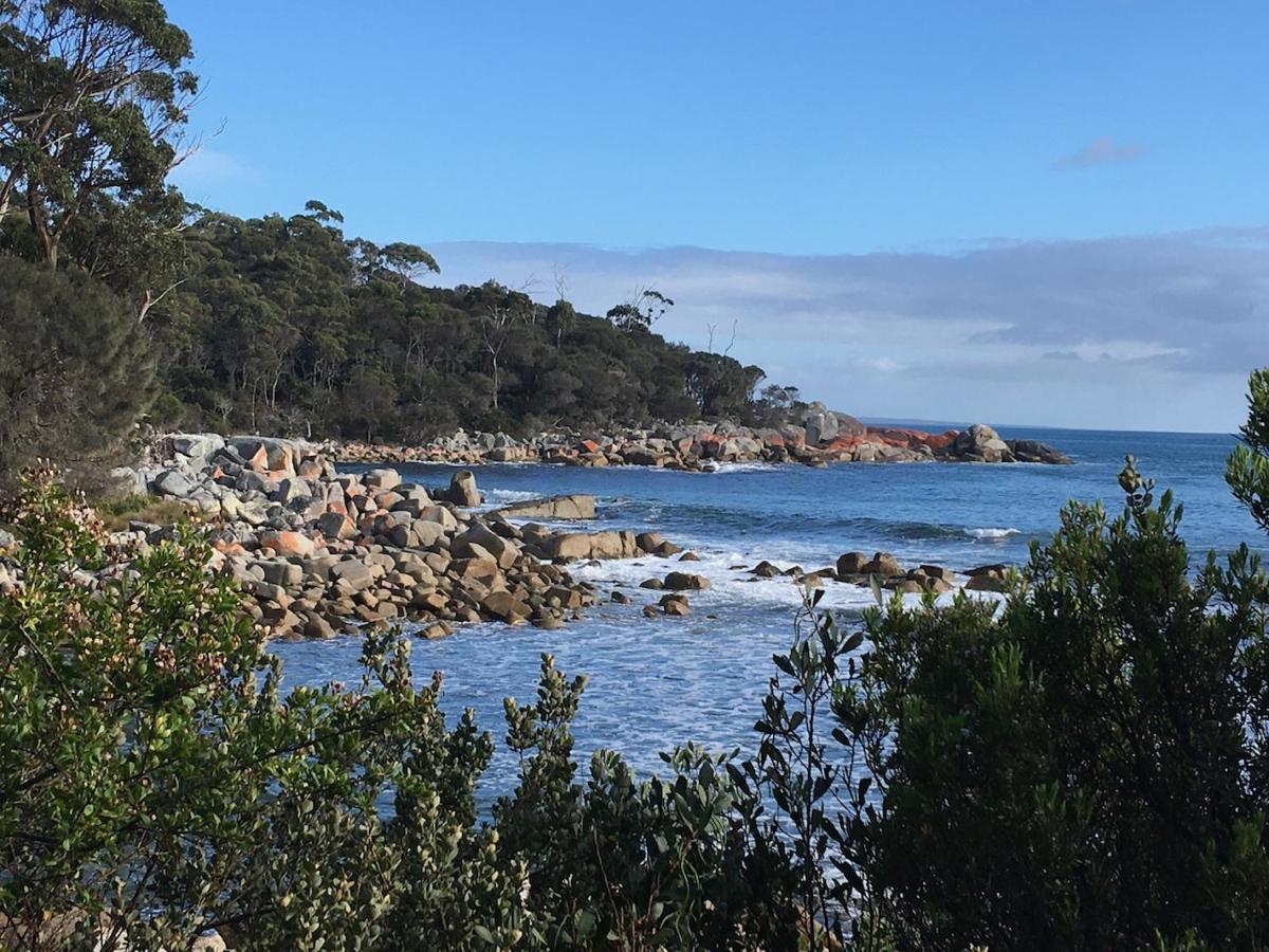 Вілла Bay Of Fires Great Escape Binalong Bay Екстер'єр фото