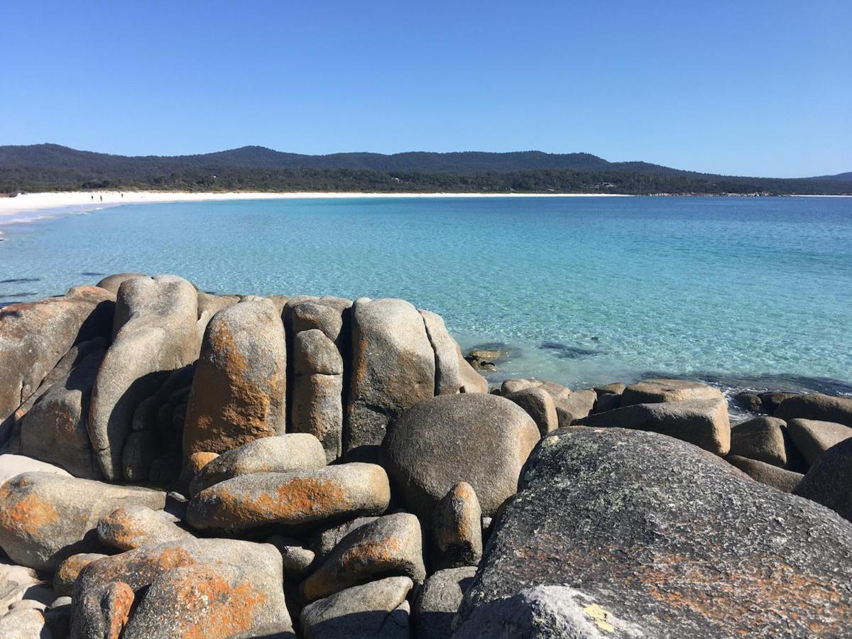 Вілла Bay Of Fires Great Escape Binalong Bay Екстер'єр фото